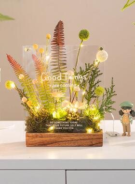 阿楹 ins法式高级盆栽空调客厅展示电视柜装饰摆饰绿植艺术花道具