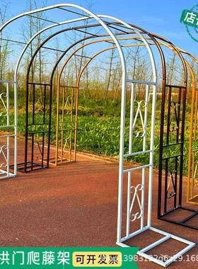 拱门花架庭院爬藤架花园月季铁线绿萝植物葡萄架装饰户外拱形支架