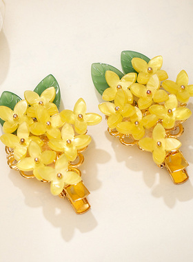 1 Pair Fragrans Leaf Side Clips Hair Jewellry Accessories Fr