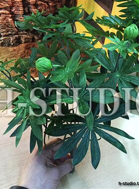 大号仿真绿植爬虫箱陆龟蜥蜴蛙守宫造景装饰假植物