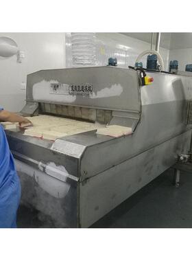 成都华能液氮速冻机 自动输送式隧道速冻机