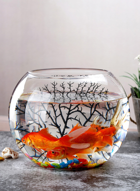 水培定植物玻璃摆件水养鱼缸插花干花办公室阳台绿萝篮花瓶