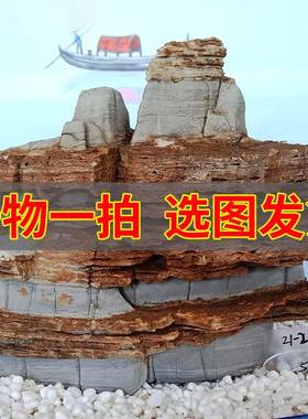 一物一拍太行山奇石天然太行石千层石假山摆件鱼缸造景景观石怪石