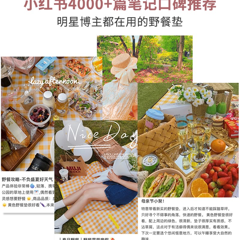 Outdoor Thicken Pad Blanket Camping Beach Plaid Picnic Mat - 图2