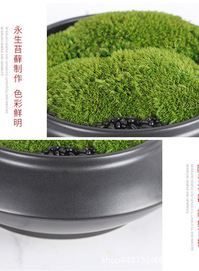 创意新中式永生苔盆景摆件现代家居会所绿植工艺礼品摆饰家俱店茶