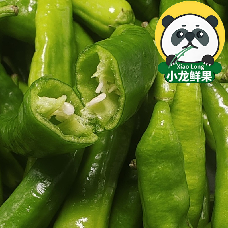 樟树新鲜薄皮辣椒10斤旗舰店现摘当季蔬湘菜正宗湖南嫩港青椒顺丰