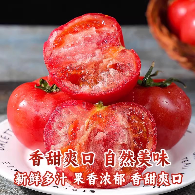沙瓤西红柿5斤自然熟柿子蔬菜生吃水果番茄普罗旺斯当季现摘整箱3