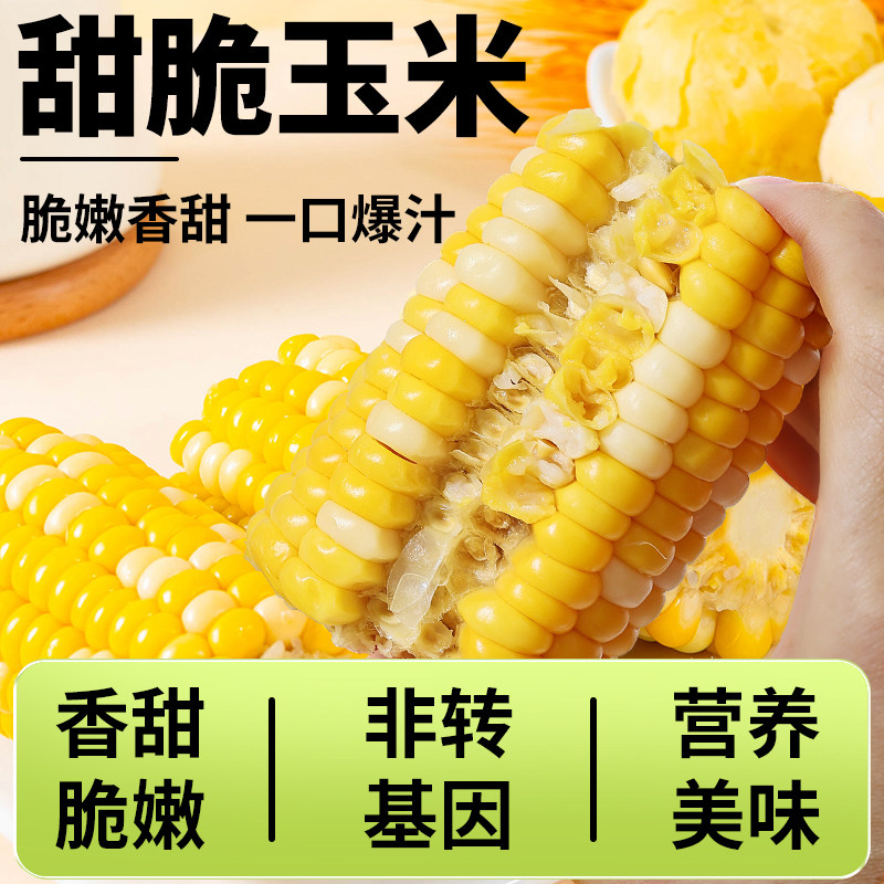 即食玉米水果甜玉米段真空包装免煮开袋即食早餐嫩玉米代餐上班族,淘宝优惠券,粉丝福利购,淘宝优惠卷