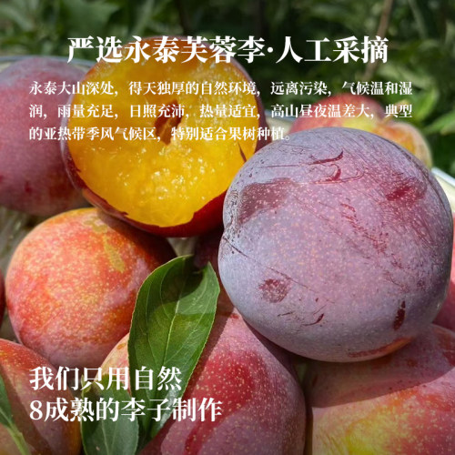 利吉氏永泰李干大颗福建特产芙蓉李子干果脯正宗酸加应子休闲零食 - 图0
