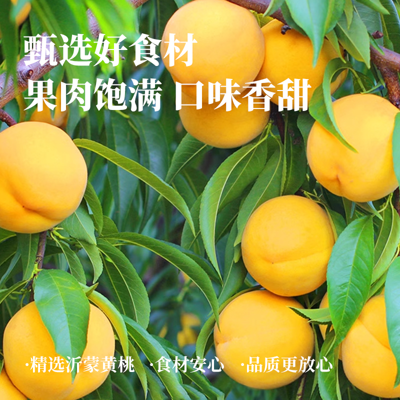 利吉氏厚切黄桃块果干鲜桃零食桃肉水蜜桃干桃子干果脯独立小包装