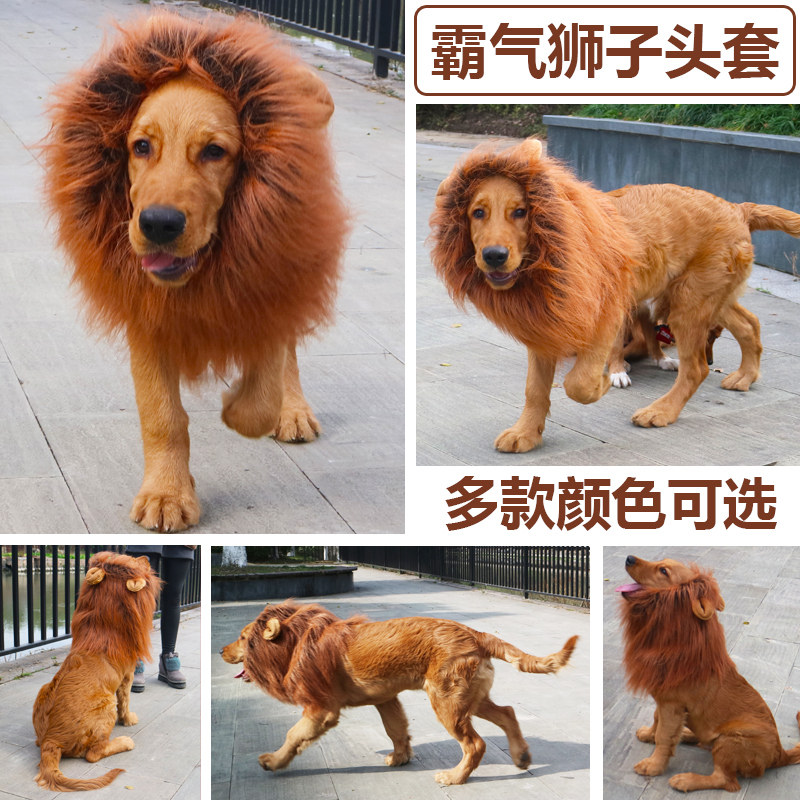 金毛搞笑狮子头套假发变身装宠物柯基等中大型犬帽子狗狗搞怪头饰