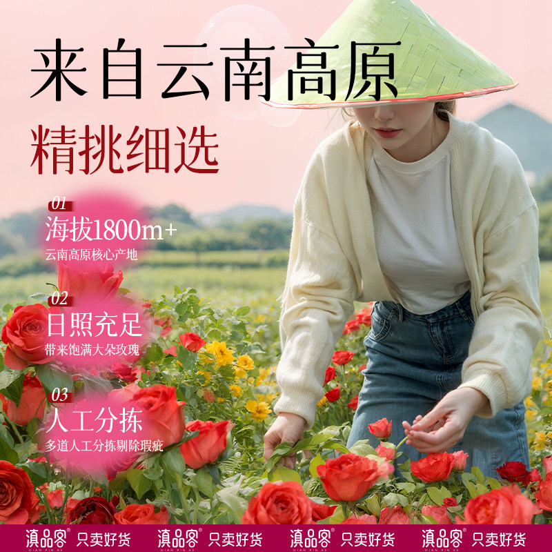 农科院冻干玫瑰花茶粉墨红重瓣玫瑰食用粉速溶冷泡茶烘焙奶茶原料,淘宝优惠券,粉丝福利购,淘宝优惠卷