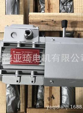 IFGEJ-50-0.25-2刹车电机Motor