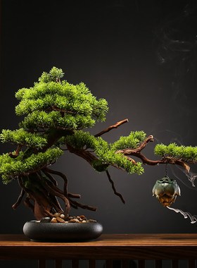 速发新中式禅枯意装迎客松盆景摆件客厅玄关办公室绿植桌面木饰品