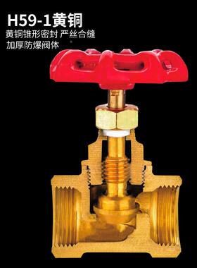 铜截止阀水管自来水开关蒸汽阀门家用4 6分1寸dn15 20 25 32 40