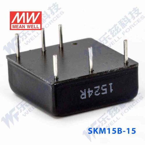 台湾明纬DC-DC模块电源SKM15B-15 15W18~36V转15V1A 稳压单路输出 - 图2