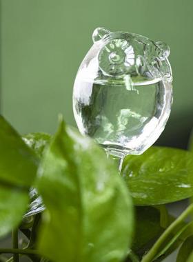 猫头鹰玻璃浇花器家用绿植盆栽卡通造型自动浇花器可爱露台田园风