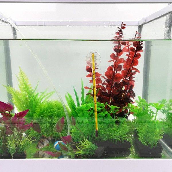 Aquarium Thermometer with Suction Cup Turtle Fish Tank - 图3