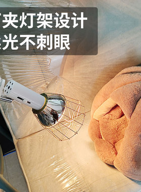 宠物取暖育雏小鸡猪保温加热灯养殖场专用猪用鸡加温发热灯泡保暖