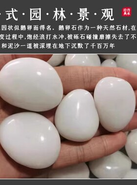江苏白色鹅卵石装饰造景鹅卵石石头庭院景观阳台铺地精抛光白石子
