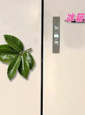 仿真柚子叶冰箱贴墙贴家居
