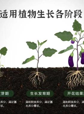 【下单立减五十】B植物缓释棒通用型氮磷钾花肥料绿植花卉缓释肥