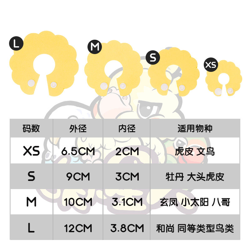 鹦鹉伊丽莎白圈超轻受伤颈项圈牡丹虎皮和尚防拔毛小鸟专用防啄羽,淘宝优惠券,粉丝福利购,淘宝优惠卷