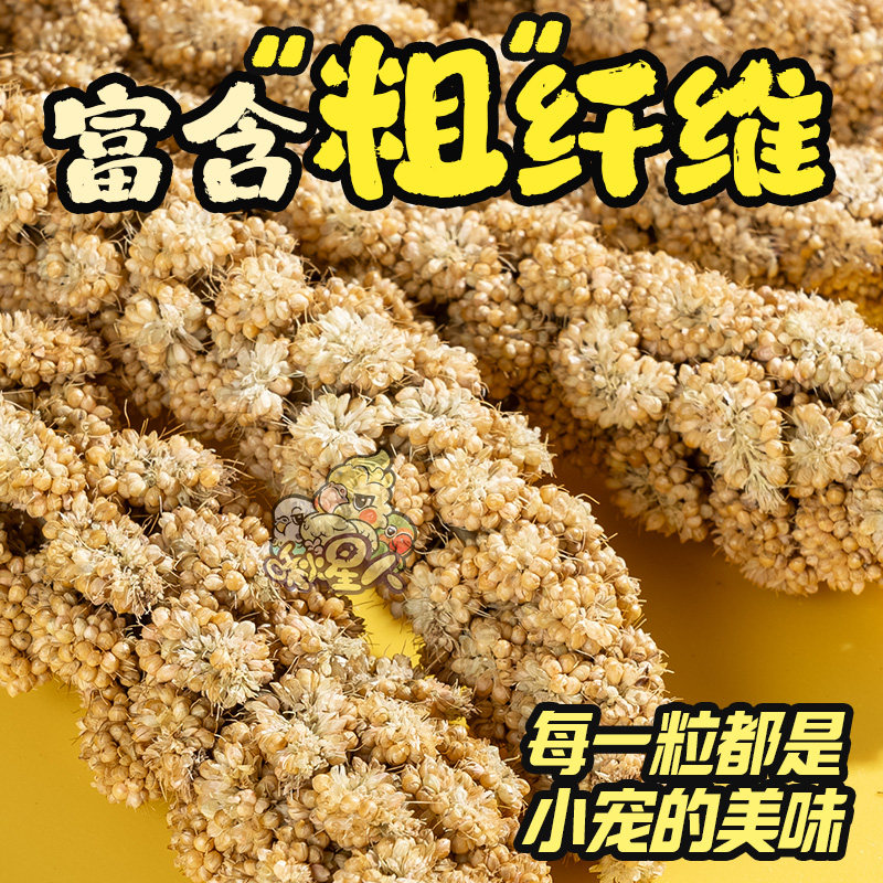 鹦鹉谷穗幼鸟学吃手养黄谷子麦穗小米玄凤虎皮饲料鸟零食天然鸟食,淘宝优惠券,粉丝福利购,淘宝优惠卷