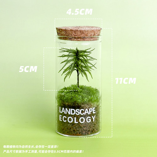 万年藓生态瓶桌面小绿植鲜活苔藓微景观室内微型盆栽植物送人礼物 - 图1