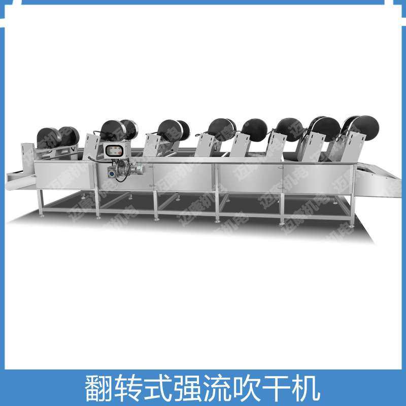 脱水蔬菜清洗风干线 翻转式风干除水机 304不锈钢吹干机,淘宝优惠券,粉丝福利购,淘宝优惠卷