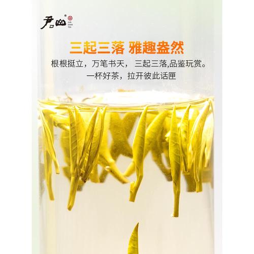 【君山牌】2024年明前新茶君山银针湖南特产特级岳阳黄茶春茶100g