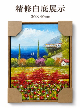 油画杰老师《绯花碧海晴湾》系列二/30*40布面客厅玄关艺术油画治