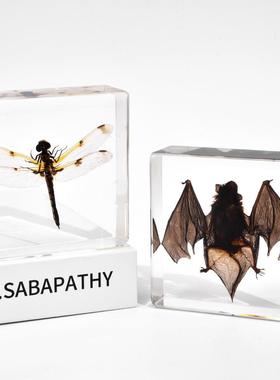 跨境热卖滴胶展翅蝴蝶树脂工艺品儿童教学装饰摆件治愈系礼物手工