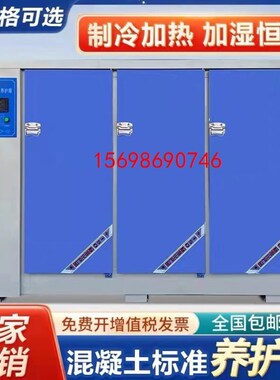 智能恒温恒湿养护箱混凝土水泥实验室标准保温柜 沧州加强型设备