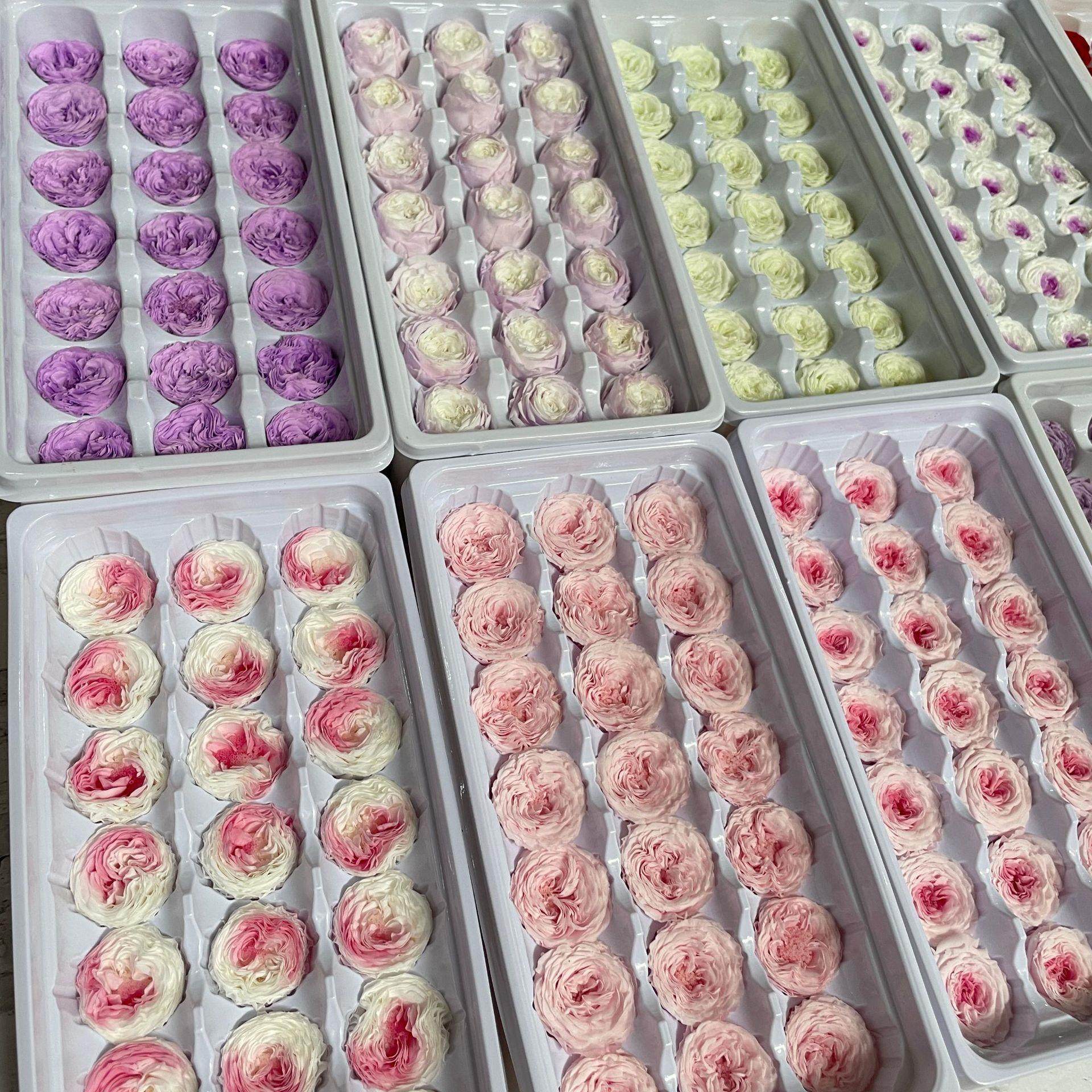 厂家直供永生花奥斯汀花头2-3厘米巧克力心保鲜花DIY花材,淘宝优惠券,粉丝福利购,淘宝优惠卷