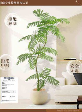 仿真蓝花楹室内阳台窗边落地绿植盆栽旅人蕉假树装饰客厅植物摆件