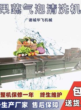 供应金桔清洗流水线气泡果蔬净菜加工设备瓜果去农残清洗机