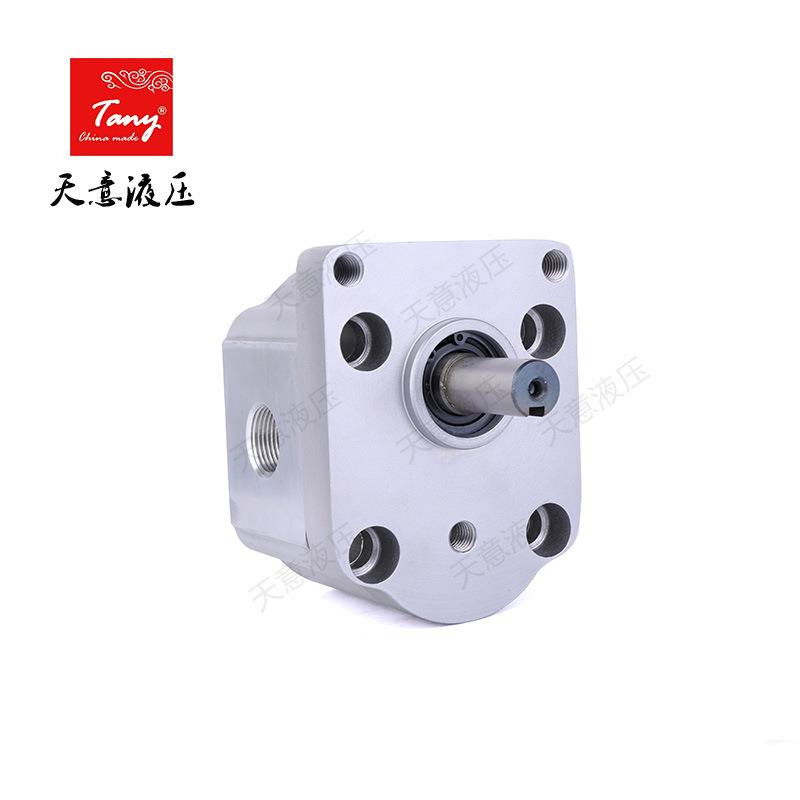 提供双向齿轮油泵CBS-E310电液推杆中小型工程机械专用液压泵 - 图0