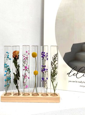 简约现代个性试管标本 样板房客厅卧室装饰摆件