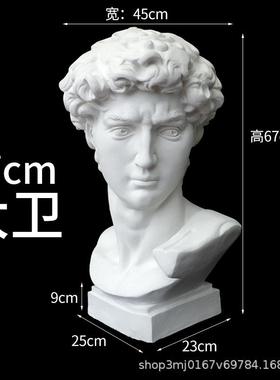 石膏像大卫头像美术生素描静物欧式雕塑美术教具石膏人物头像胸像
