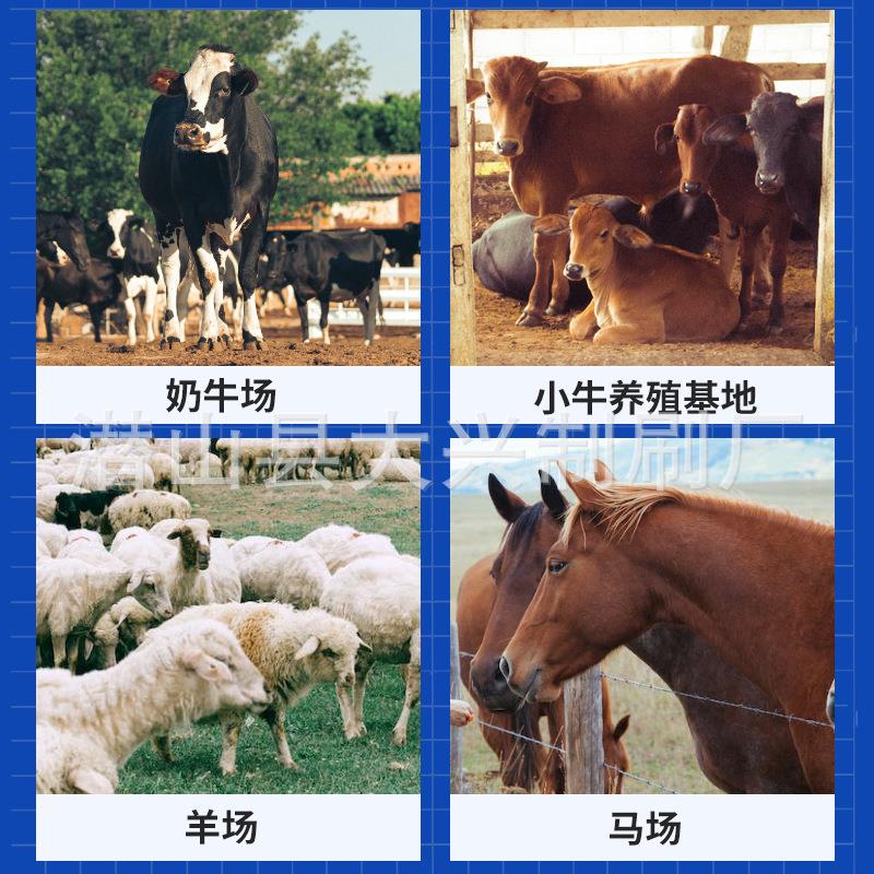 半边马体刷清洁按摩止痒刷牛羊蹭痒刷养殖场畜牧机械马体刷 - 图0