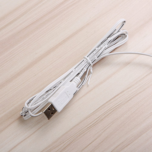 LED霓虹灯海豚亚克力透明背板霓虹灯5VUSB供电高亮度厂家直供夜灯 - 图0