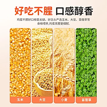 好念头可生食鸡蛋沙门氏菌散养鸡蛋30枚[18元优惠券]-寻折猪