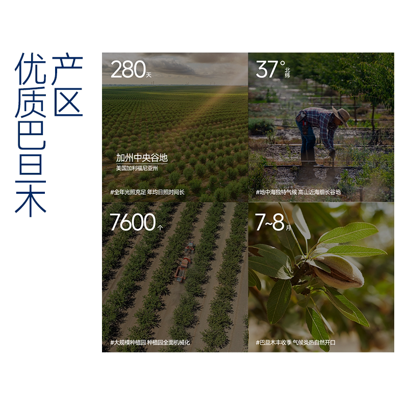 【亿堡巴旦木】原味罐装杏仁大颗粒孕妇无添加坚果零食扁桃仁腰果