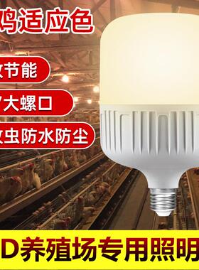 家用led暖光灯泡E27螺口暖黄光暖色高富帅LED灯节能暖光球泡超亮