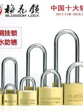 铜挂锁箱包户外家大门防水防锈挂锁20 25 35 45 55mm小铜锁