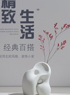 好货陶瓷花瓶插花乾燥花北欧风ins 简约创意水培花器客厅家居摆饰