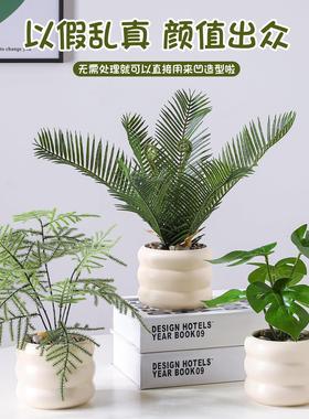 彷真绿色植物盆栽植物装饰品摆件花艺拍摄道具办公室客厅桌面假花