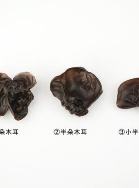 假素菜菜品装饰摆件酒店餐厅展示假菜道具仿真木耳蔬菜模型