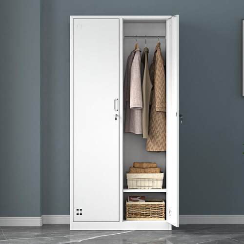 办公室二门员工更衣柜铁皮柜子2门储物柜带锁健身房3门浴室换衣柜 - 图0